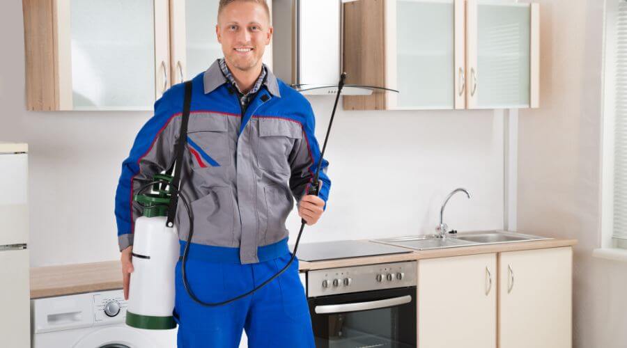 Professional pest control services in Pasco
